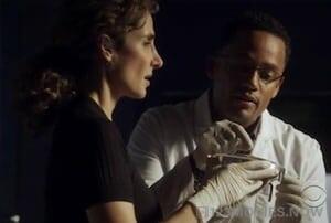 CSI: NY Season 6 Episode 9