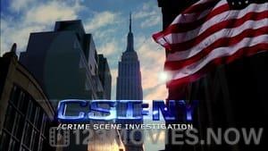 CSI: NY Season 7 Episode 3