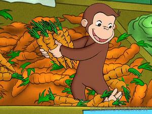 Curious George Season 4 Episode 18