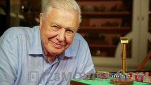 David Attenborough’s Natural Curiosities Season 3 Episode 1