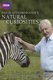 David Attenborough’s Natural Curiosities Season 3 Episode 1