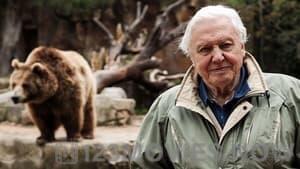 David Attenborough’s Natural Curiosities Season 4 Episode 1