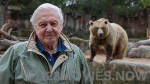 David Attenborough’s Natural Curiosities Season 4 Episode 1