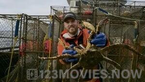 Deadliest Catch Season 15 Episode 12