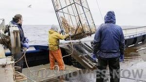 Deadliest Catch Season 17 Episode 5