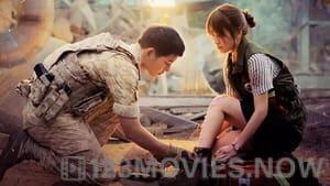 Descendants of the Sun