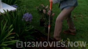 Desperate Housewives Season 6 Episode 22