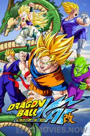 Dragon Ball Z Kai Season 1 Episode 11