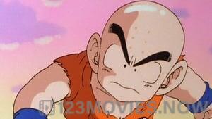 Dragon Ball Z Kai Season 1 Episode 13