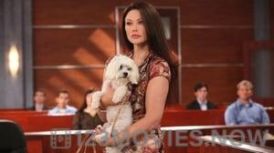 Drop Dead Diva Season 5 Episode 4