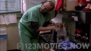 ER Season 3 Episode 10