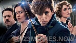 Fantastic Beasts and Where To Find Them