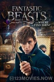 Fantastic Beasts and Where To Find Them