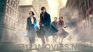 Fantastic Beasts and Where To Find Them