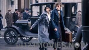 Fantastic Beasts and Where To Find Them