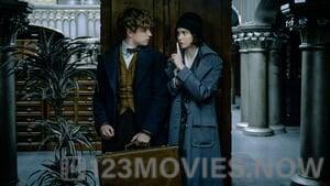 Fantastic Beasts and Where To Find Them