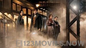 Fantastic Beasts and Where To Find Them