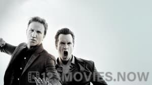 Franklin & Bash