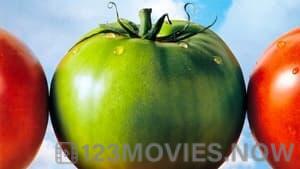 Fried Green Tomatoes