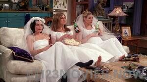 Friends Season 4 Episode 20