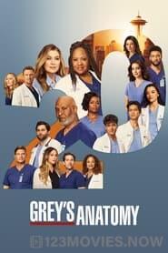 Grey’s Anatomy Season 13 Episode 12