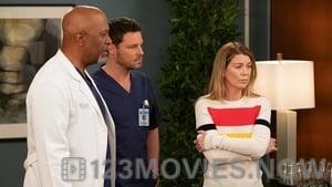 Grey’s Anatomy Season 15 Episode 25