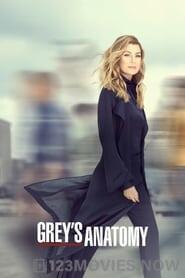 Grey’s Anatomy Season 16 Episode 19