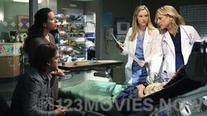 Grey’s Anatomy Season 6 Episode 17