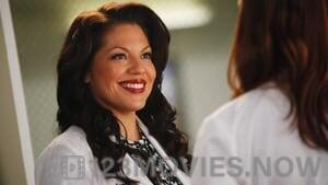 Grey’s Anatomy Season 8 Episode 13