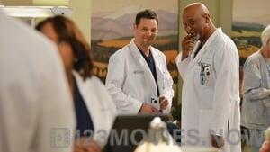 Grey’s Anatomy Season 9 Episode 18