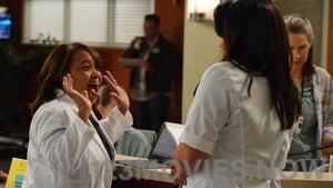 Grey’s Anatomy Season 9 Episode 18