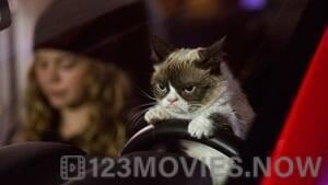 Grumpy Cat’s Worst Christmas Ever