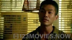 Hawaii Five-0 Season 1 Episode 9