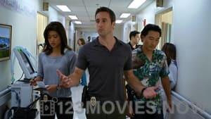 Hawaii Five-0 Season 1 Episode 9