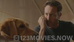 Hawaii Five-0 Season 10 Episode 14