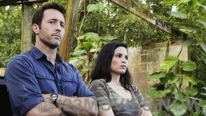 Hawaii Five-0 Season 10 Episode 3