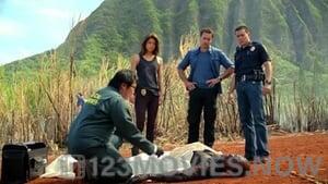 Hawaii Five-0 Season 3 Episode 8