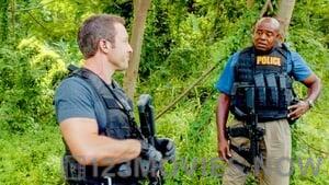 Hawaii Five-0 Season 4 Episode 12