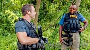 Hawaii Five-0 Season 4 Episode 12