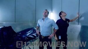 Hawaii Five-0 Season 5 Episode 20