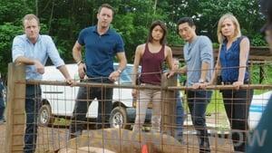 Hawaii Five-0 Season 6 Episode 9