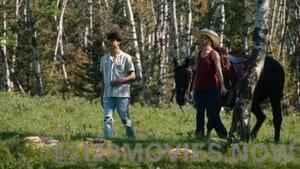 Heartland Season 15 Episode 6