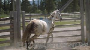 Heartland Season 16 Episode 6