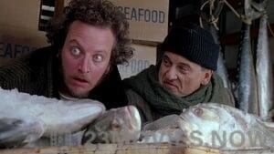 Home Alone 2: Lost In New York