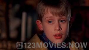 Home Alone 2: Lost In New York