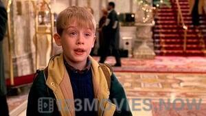 Home Alone 2: Lost In New York