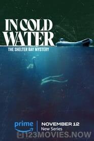 In Cold Water: The Shelter Bay Mystery Season 1 Episode 1