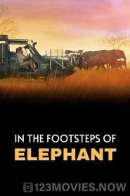 In the Footsteps of Elephant