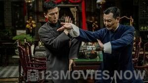 Ip Man 4: The Finale