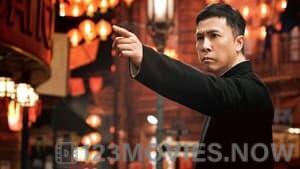 Ip Man 4: The Finale